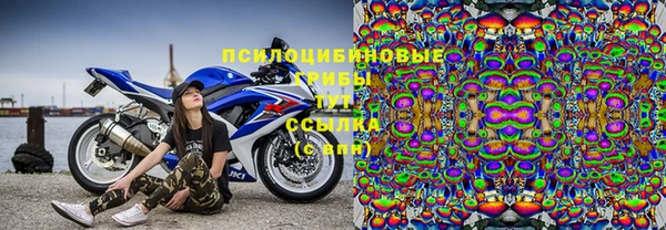 тгк Ростов