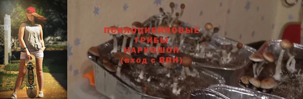 соль курить ск Богородск