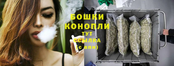 ешки Богородицк
